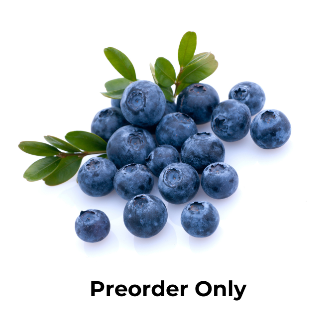 Blueberries / 125g punnet