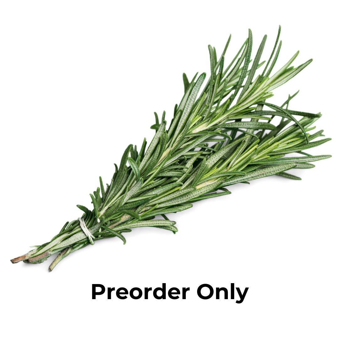 Herb Bunch - Rosemary