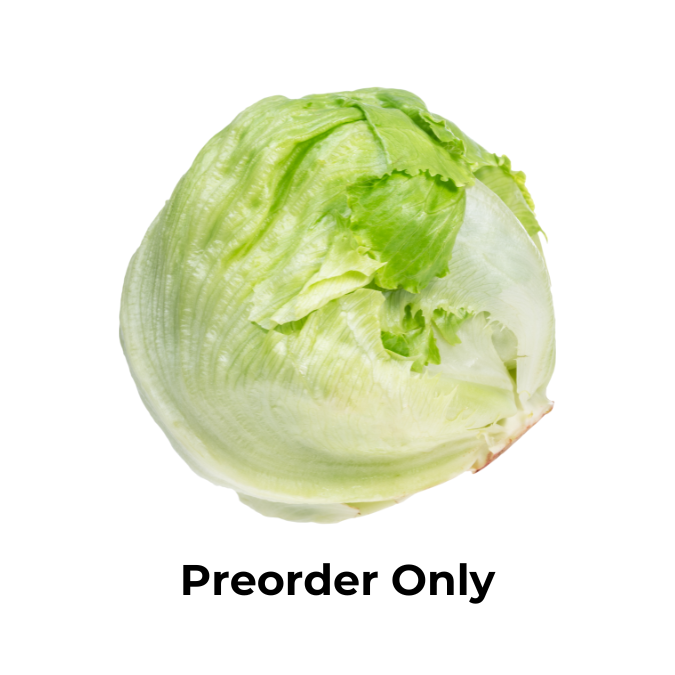 Lettuce Iceberg / ea