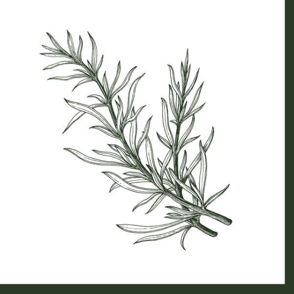 B&Y Rosemary Dinner Napkin