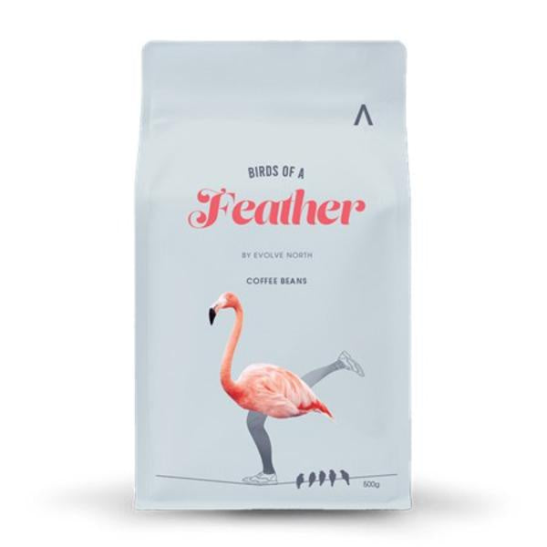 Evolve North Birds of a Feather Coffee Beans 500g