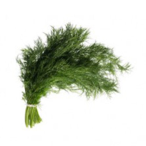 Herb Bunch - Dill