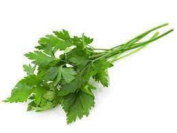 Herb Bunch - Continental Parsley