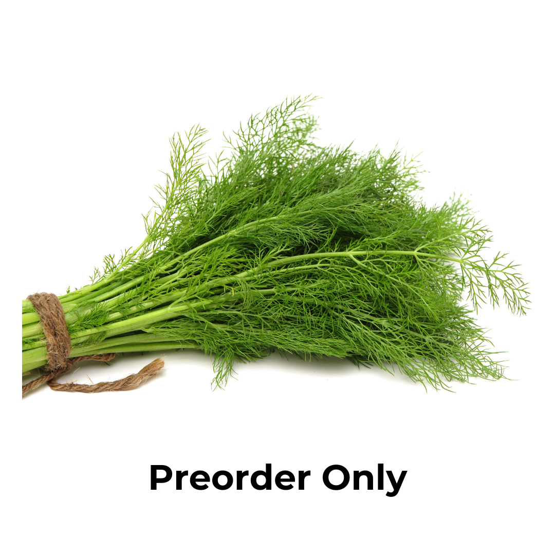 Herb Bunch - Dill