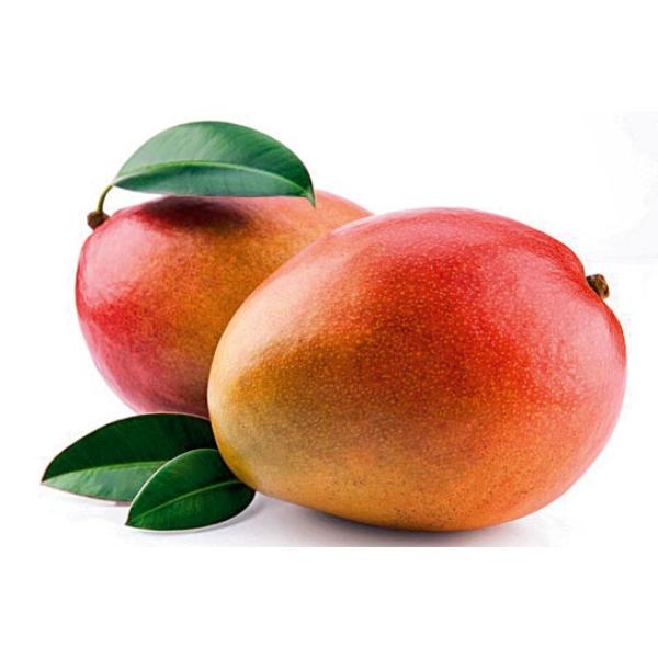 Mango - Large