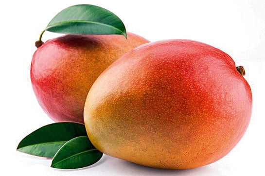 Mango - Large