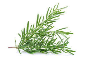 Herb Bunch - Rosemary