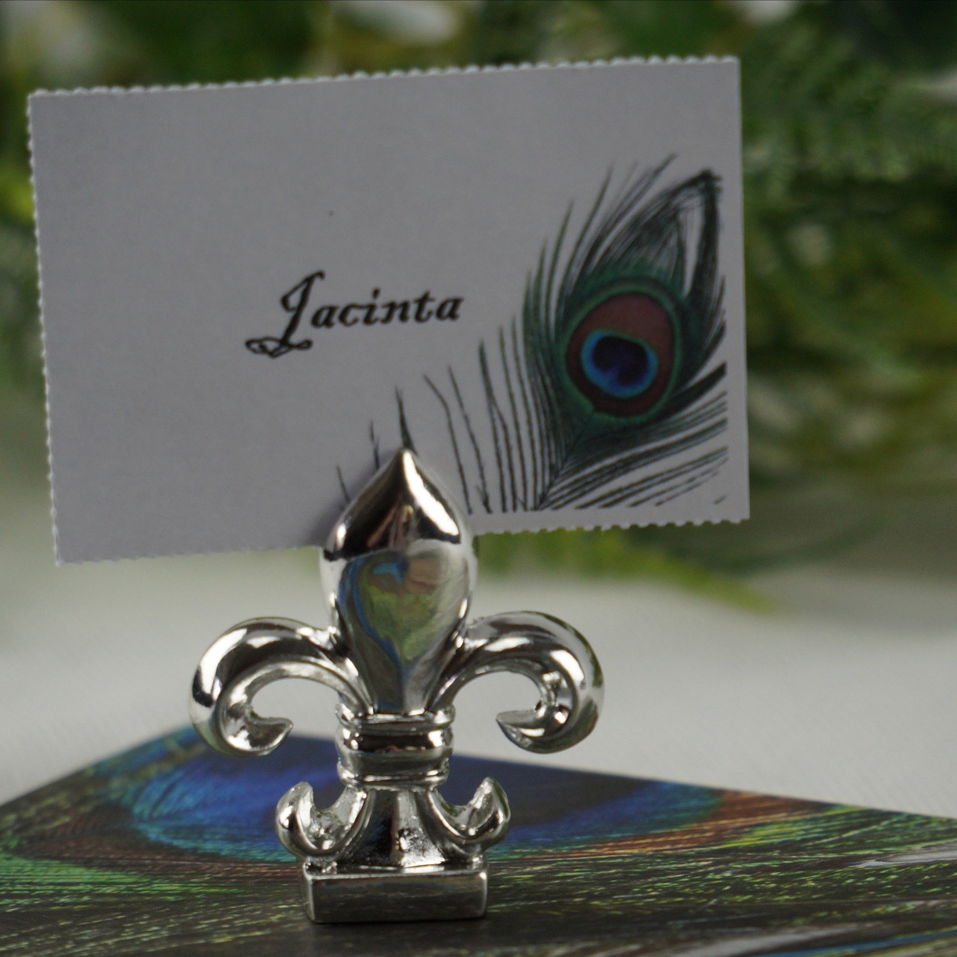 Placecards - Standard Card - Peacock Feather 450Pkt