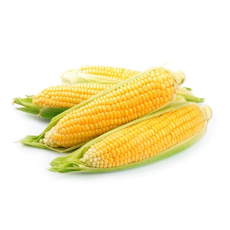 Corn Cobs / Prepacked Tray 500g