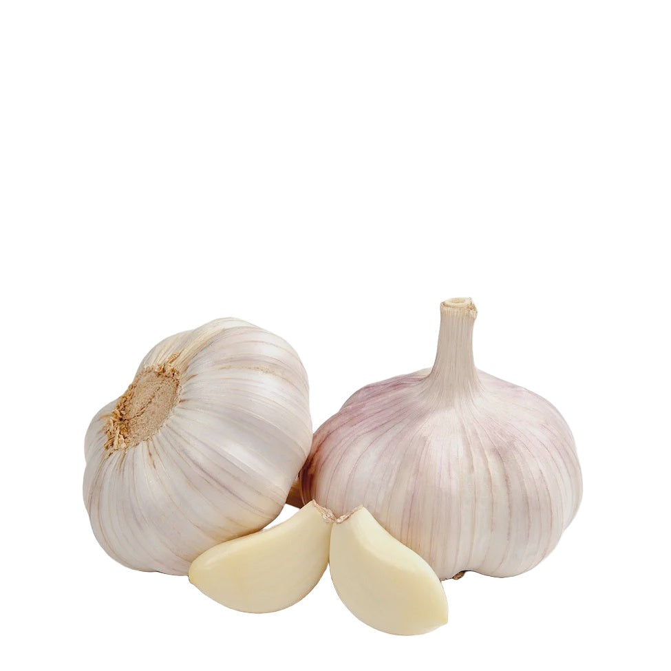 Garlic Bulb / ea