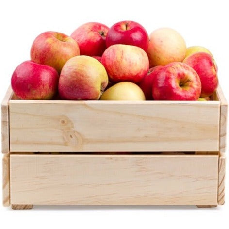 1kg Lunch Box Apples